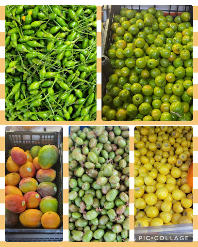 La Mexicana Produce, Dallas