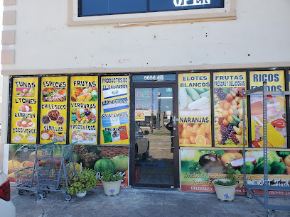 LA BODEGA LATINA LA TIENDA DEL PUEBLO, Plano