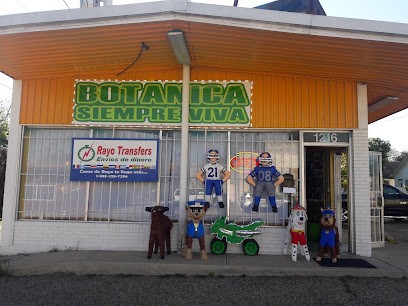 Botanica Siempre Viva & Chelseas Candy, Waco