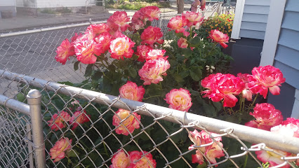 Los Minas Market, Providence