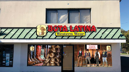 Bota latina