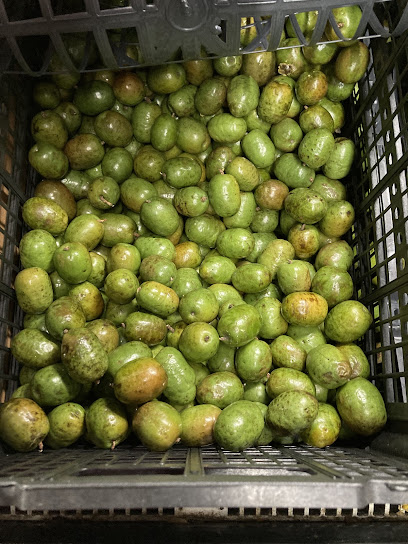 Las minas latín market