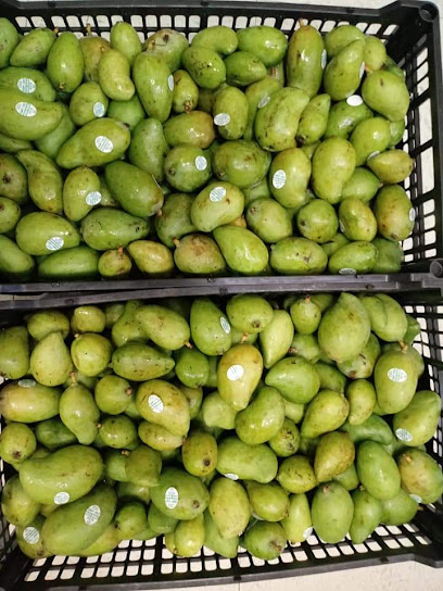 Latino Market Gaithersburg