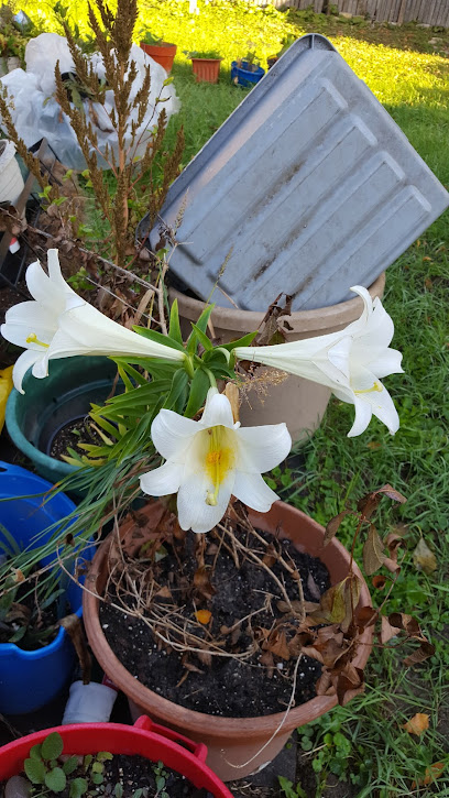 Hispanic RoundTable Inc