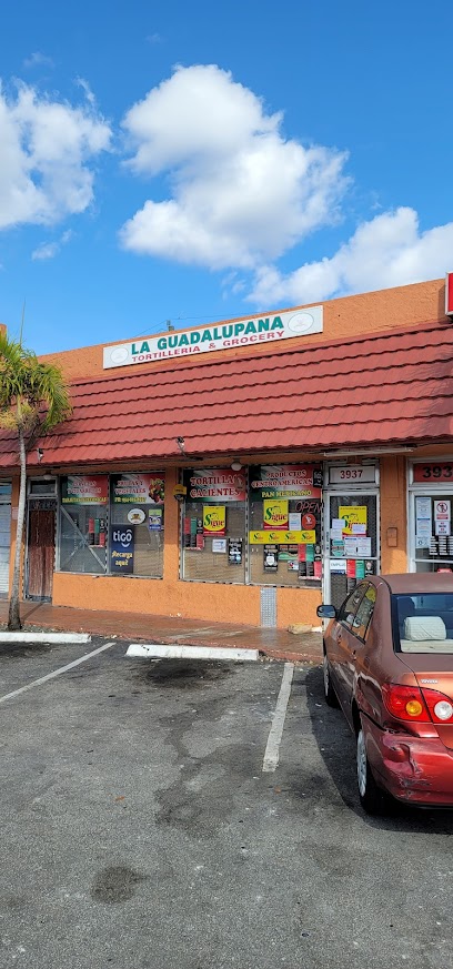 La Guadalupana Mini Market